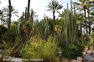 19 ELCHE HUERTO DEL CURA (77)